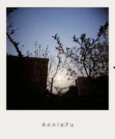 永别的图片,定格永恒的离别瞬间